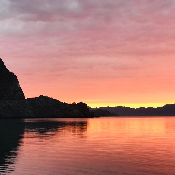 Meet your Posher, Debbie - Picture 2 of 4